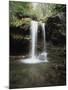 Tennessee, Great Smoky Mts National Park, Grotto Falls-Christopher Talbot Frank-Mounted Photographic Print