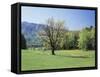 Tennessee, Great Smoky Mts National Park, Springin a Meadow in the Smoky Mts-Christopher Talbot Frank-Framed Stretched Canvas