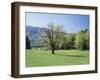 Tennessee, Great Smoky Mts National Park, Springin a Meadow in the Smoky Mts-Christopher Talbot Frank-Framed Premium Photographic Print