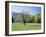 Tennessee, Great Smoky Mts National Park, Springin a Meadow in the Smoky Mts-Christopher Talbot Frank-Framed Premium Photographic Print