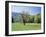 Tennessee, Great Smoky Mts National Park, Springin a Meadow in the Smoky Mts-Christopher Talbot Frank-Framed Premium Photographic Print