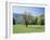 Tennessee, Great Smoky Mts National Park, Springin a Meadow in the Smoky Mts-Christopher Talbot Frank-Framed Premium Photographic Print