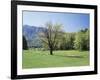 Tennessee, Great Smoky Mts National Park, Springin a Meadow in the Smoky Mts-Christopher Talbot Frank-Framed Photographic Print