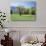 Tennessee, Great Smoky Mts National Park, Springin a Meadow in the Smoky Mts-Christopher Talbot Frank-Photographic Print displayed on a wall