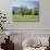 Tennessee, Great Smoky Mts National Park, Springin a Meadow in the Smoky Mts-Christopher Talbot Frank-Photographic Print displayed on a wall