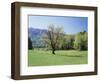 Tennessee, Great Smoky Mts National Park, Springin a Meadow in the Smoky Mts-Christopher Talbot Frank-Framed Photographic Print