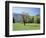 Tennessee, Great Smoky Mts National Park, Springin a Meadow in the Smoky Mts-Christopher Talbot Frank-Framed Photographic Print