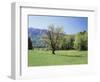 Tennessee, Great Smoky Mts National Park, Springin a Meadow in the Smoky Mts-Christopher Talbot Frank-Framed Photographic Print