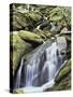 Tennessee, Great Smoky Mts National Park, Waterfalls Along Roaring Fork Stream-Christopher Talbot Frank-Stretched Canvas