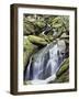 Tennessee, Great Smoky Mts National Park, Waterfalls Along Roaring Fork Stream-Christopher Talbot Frank-Framed Photographic Print