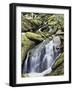 Tennessee, Great Smoky Mts National Park, Waterfalls Along Roaring Fork Stream-Christopher Talbot Frank-Framed Photographic Print