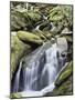 Tennessee, Great Smoky Mts National Park, Waterfalls Along Roaring Fork Stream-Christopher Talbot Frank-Mounted Photographic Print