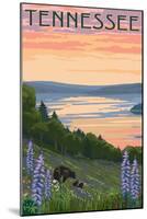 Tennessee - Lake and Bear Family-Lantern Press-Mounted Art Print