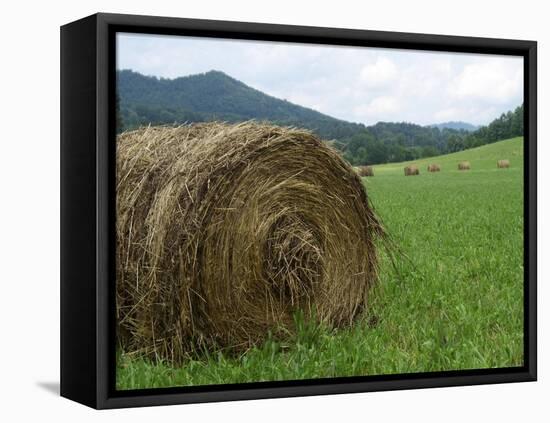 Tennessee Mountain Field-Herb Dickinson-Framed Stretched Canvas