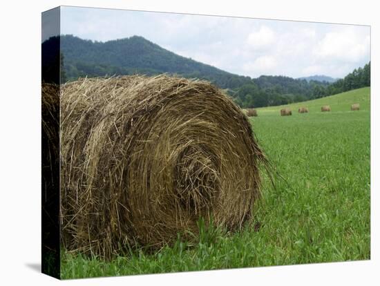 Tennessee Mountain Field-Herb Dickinson-Stretched Canvas
