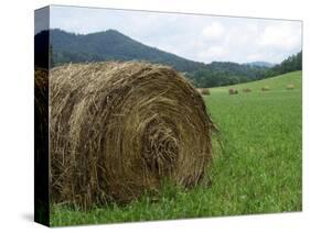 Tennessee Mountain Field-Herb Dickinson-Stretched Canvas