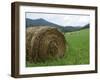 Tennessee Mountain Field-Herb Dickinson-Framed Photographic Print