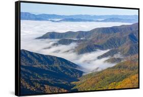 Tennessee, North Carolina, Great Smoky Mountains NP, Newfound Gap-Jamie & Judy Wild-Framed Stretched Canvas