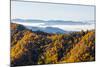 Tennessee, North Carolina, Great Smoky Mountains NP, Newfound Gap-Jamie & Judy Wild-Mounted Photographic Print