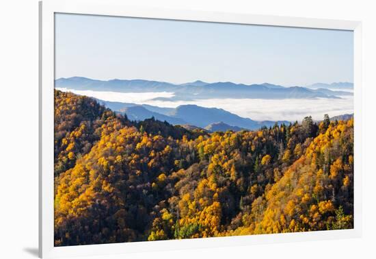 Tennessee, North Carolina, Great Smoky Mountains NP, Newfound Gap-Jamie & Judy Wild-Framed Photographic Print