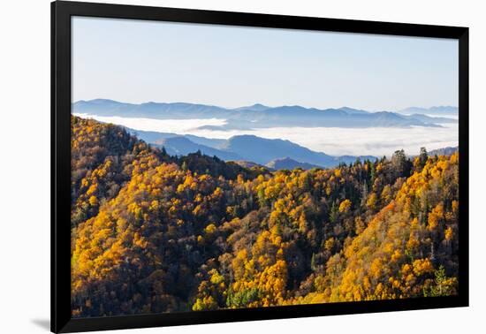 Tennessee, North Carolina, Great Smoky Mountains NP, Newfound Gap-Jamie & Judy Wild-Framed Photographic Print