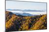 Tennessee, North Carolina, Great Smoky Mountains NP, Newfound Gap-Jamie & Judy Wild-Mounted Photographic Print