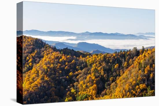 Tennessee, North Carolina, Great Smoky Mountains NP, Newfound Gap-Jamie & Judy Wild-Stretched Canvas