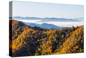 Tennessee, North Carolina, Great Smoky Mountains NP, Newfound Gap-Jamie & Judy Wild-Stretched Canvas