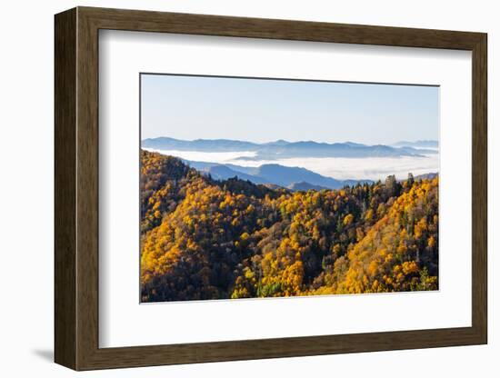 Tennessee, North Carolina, Great Smoky Mountains NP, Newfound Gap-Jamie & Judy Wild-Framed Photographic Print