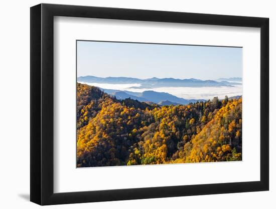 Tennessee, North Carolina, Great Smoky Mountains NP, Newfound Gap-Jamie & Judy Wild-Framed Photographic Print