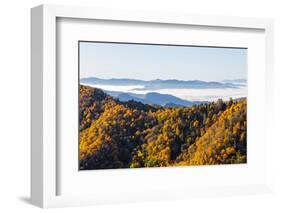 Tennessee, North Carolina, Great Smoky Mountains NP, Newfound Gap-Jamie & Judy Wild-Framed Photographic Print