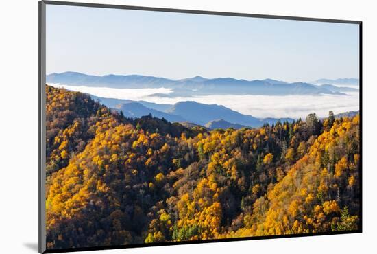 Tennessee, North Carolina, Great Smoky Mountains NP, Newfound Gap-Jamie & Judy Wild-Mounted Photographic Print