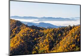 Tennessee, North Carolina, Great Smoky Mountains NP, Newfound Gap-Jamie & Judy Wild-Mounted Photographic Print