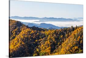 Tennessee, North Carolina, Great Smoky Mountains NP, Newfound Gap-Jamie & Judy Wild-Stretched Canvas