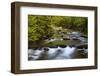 Tennessee, Spring Reflections on Little River at Smoky Mountains NP-Joanne Wells-Framed Photographic Print