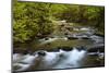 Tennessee, Spring Reflections on Little River at Smoky Mountains NP-Joanne Wells-Mounted Photographic Print