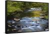 Tennessee, Spring Reflections on Little River at Smoky Mountains NP-Joanne Wells-Framed Stretched Canvas