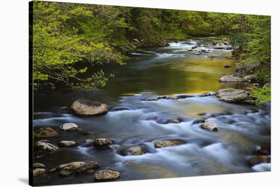 Tennessee, Spring Reflections on Little River at Smoky Mountains NP-Joanne Wells-Stretched Canvas