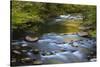 Tennessee, Spring Reflections on Little River at Smoky Mountains NP-Joanne Wells-Stretched Canvas