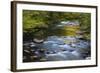 Tennessee, Spring Reflections on Little River at Smoky Mountains NP-Joanne Wells-Framed Photographic Print