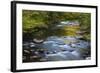 Tennessee, Spring Reflections on Little River at Smoky Mountains NP-Joanne Wells-Framed Photographic Print