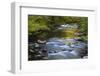 Tennessee, Spring Reflections on Little River at Smoky Mountains NP-Joanne Wells-Framed Photographic Print