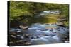 Tennessee, Spring Reflections on Little River at Smoky Mountains NP-Joanne Wells-Stretched Canvas