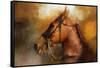 Tennessee Walker in August-Jai Johnson-Framed Stretched Canvas