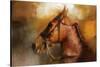 Tennessee Walker in August-Jai Johnson-Stretched Canvas