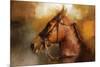 Tennessee Walker in August-Jai Johnson-Mounted Giclee Print