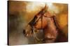 Tennessee Walker in August-Jai Johnson-Stretched Canvas