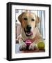 Tennis Anyone?-Robert Mcclintock-Framed Art Print