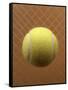 Tennis Ball Against a Racquet-null-Framed Stretched Canvas