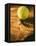 Tennis Ball and Wood Racket-Tom Grill-Framed Stretched Canvas